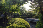 緑の保寧寺